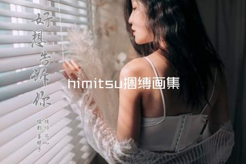 himitsu捆缚画集